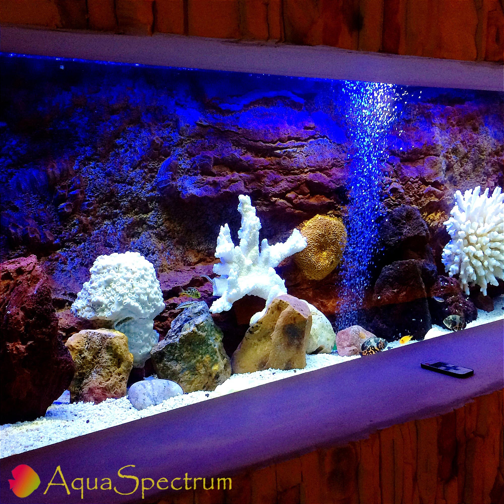 Аквариум оформленный 3D фоном Red Sea 
